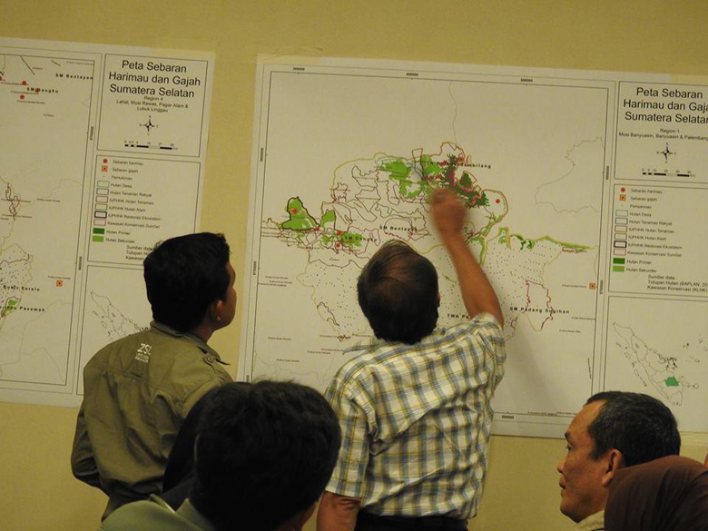 FGD ON IDENTIFYING AND MAPPING SUMATRAN ELEPHANT AND TIGER HABITAT ENCLAVES IN SOUTH SUMATRA::The FGD on “Mapping Sumatran Elephant and Tiger Habitat Enclaves in South Sumatra” took place on 8 August 2016 with more than 50 participants attending from various government institutions, the private sector, universities and related NGOs in South Sumatra. 