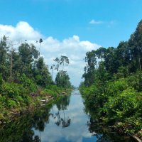 Canal management for peatland area