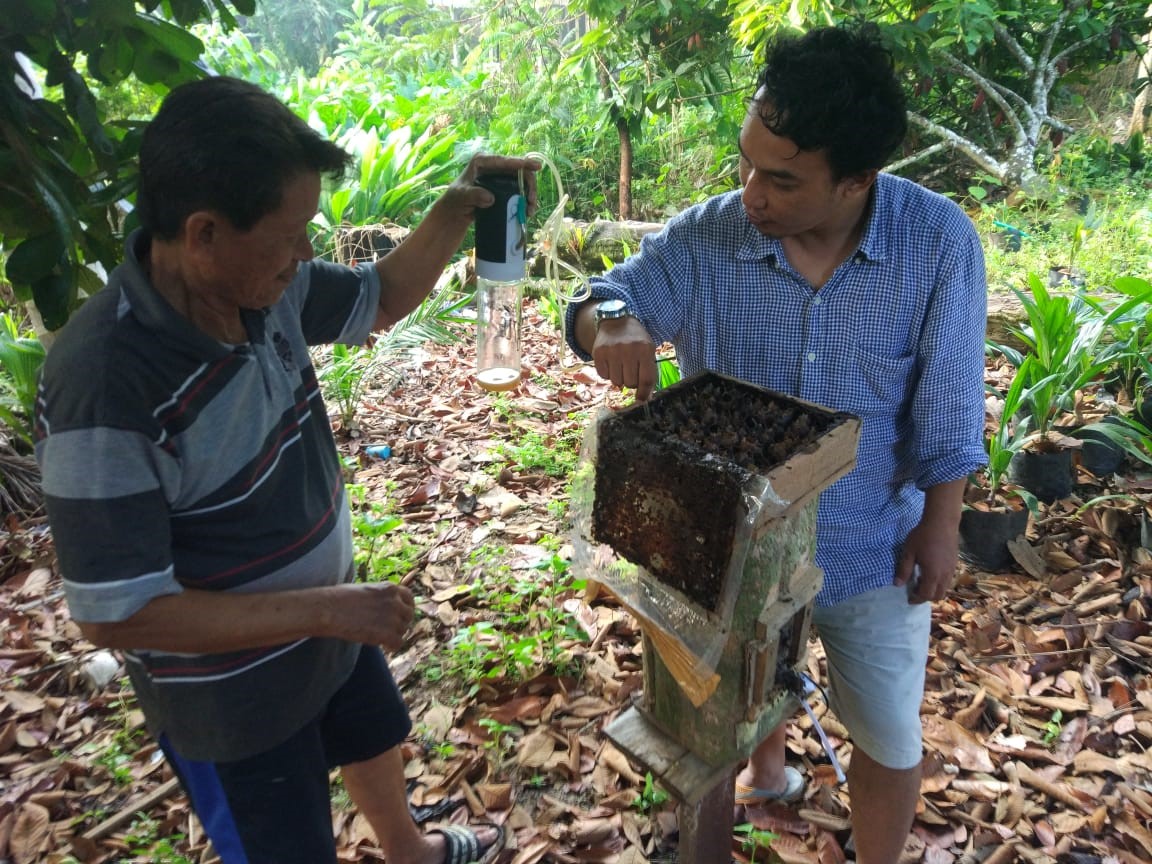 2020 01 06 harvesting honey Berau supri