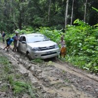 Off road - crossing the setulang forest 